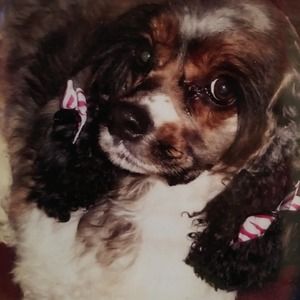 Meet your Posher, Bev